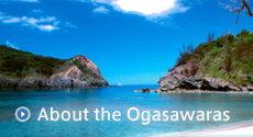 About the Ogasawaras